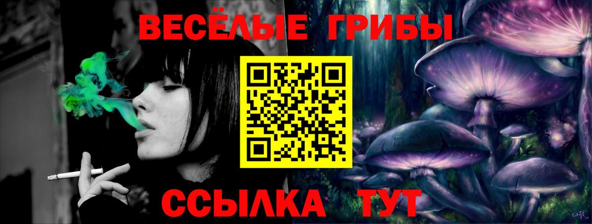 Меф Кудрово