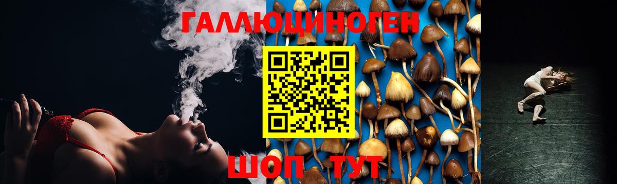 Псилоцибиновые грибы ЛСД Кудрово