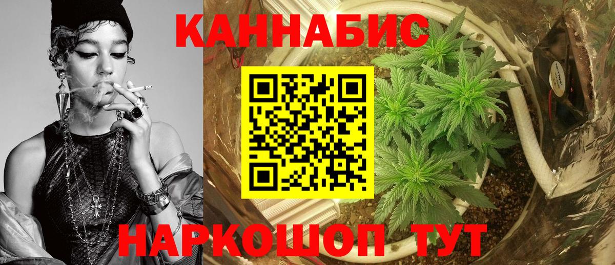 Кудрово  Канабис ГИДРОПОН  Бошки марихуана тримм  Вход с VPN 